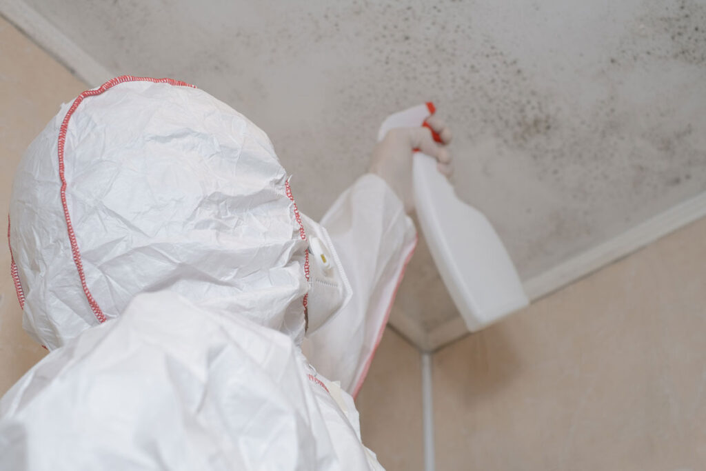 Schimmelbeseitigung Recklinghausen mit Spray