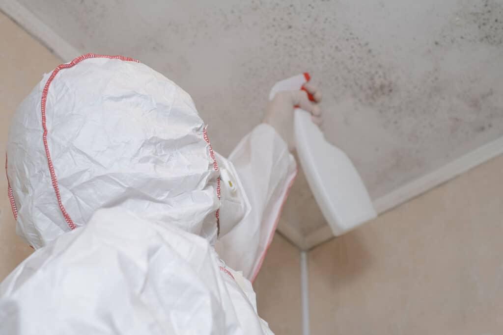 Schimmelbeseitigung Wesel an Decke