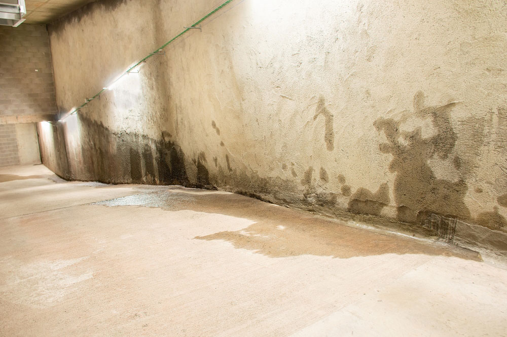 Feuchte Wände im Keller Wasserschaden