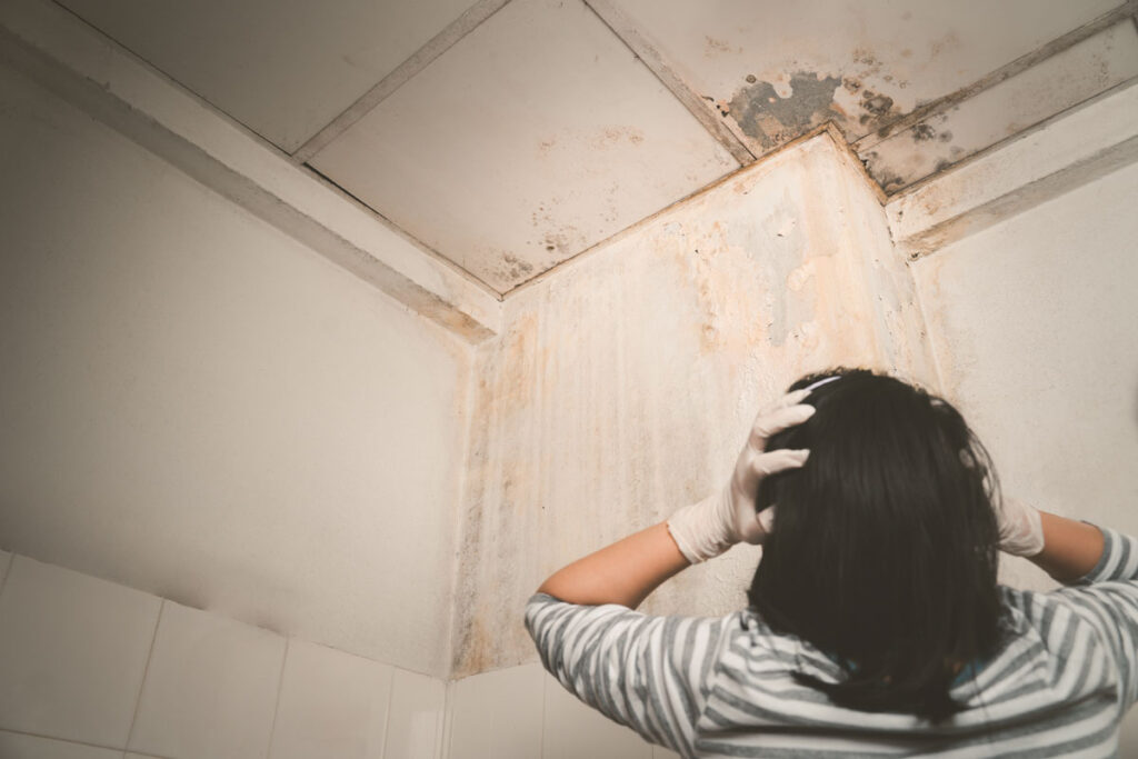 Abdichtung gegen Feuchtigkeit- schimmel an der wand
