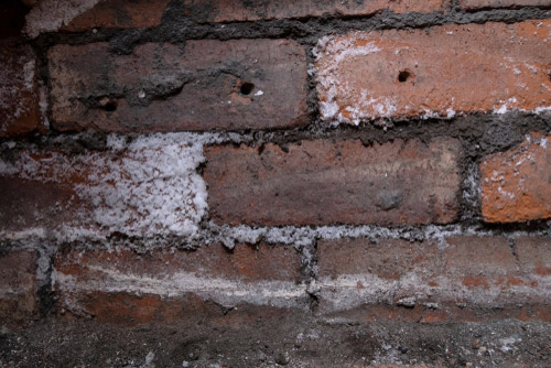 Schimmel entfernen Firma - Wand