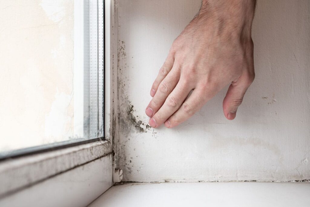 Feuchtigkeitsschäden an der Wand sanieren